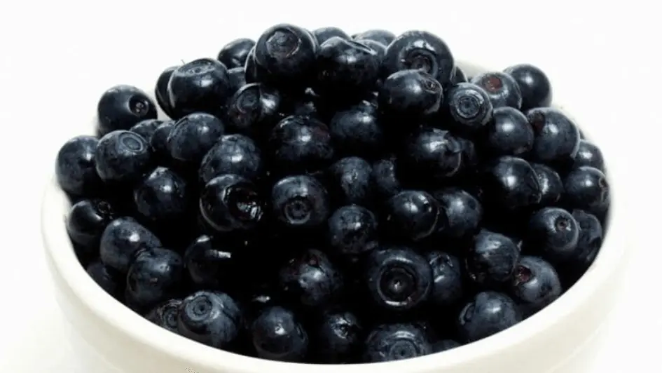 Fresh blueberries in a white ceramic bowl